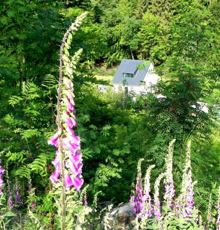 Ferienhaus Buschmuehle - Stolpen Esterno foto