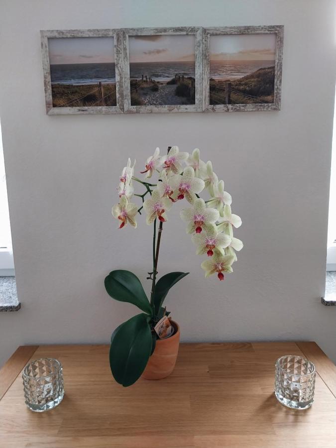 Ferienhaus Buschmuehle - Stolpen Esterno foto